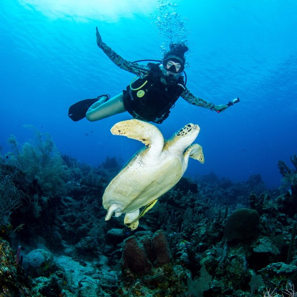 Meet your Posher, Leanne - Picture 1 of 1